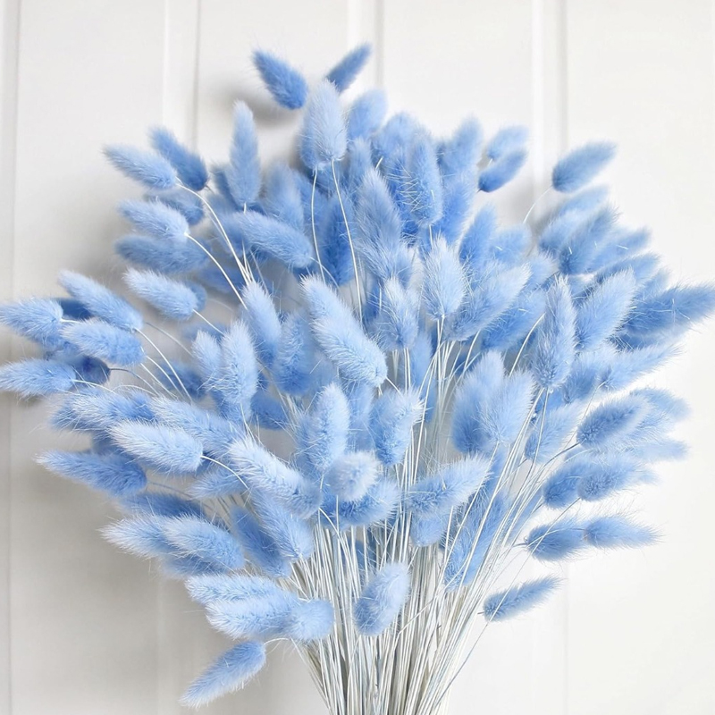 Dried Flower Bouquet - 100 Uds. Cola de liebre azul
