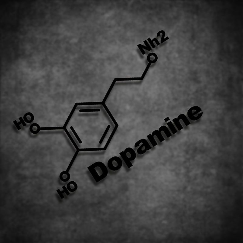 1PC Adhesivo de vinilo PET con - Home Decor Dopamine reseña y precio