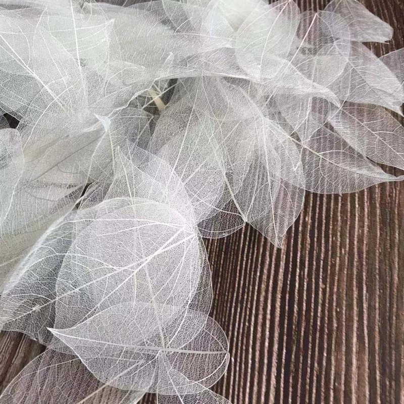 5 ~ 9CM * 2 ~ 3,5 CM, 100 unid - Dried Flower Bouquet reseña y precio