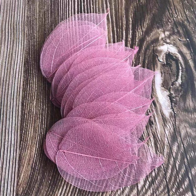 5 ~ 9CM * 2 ~ 3,5 CM, 100 unid - Dried Flower Bouquet reseña y precio