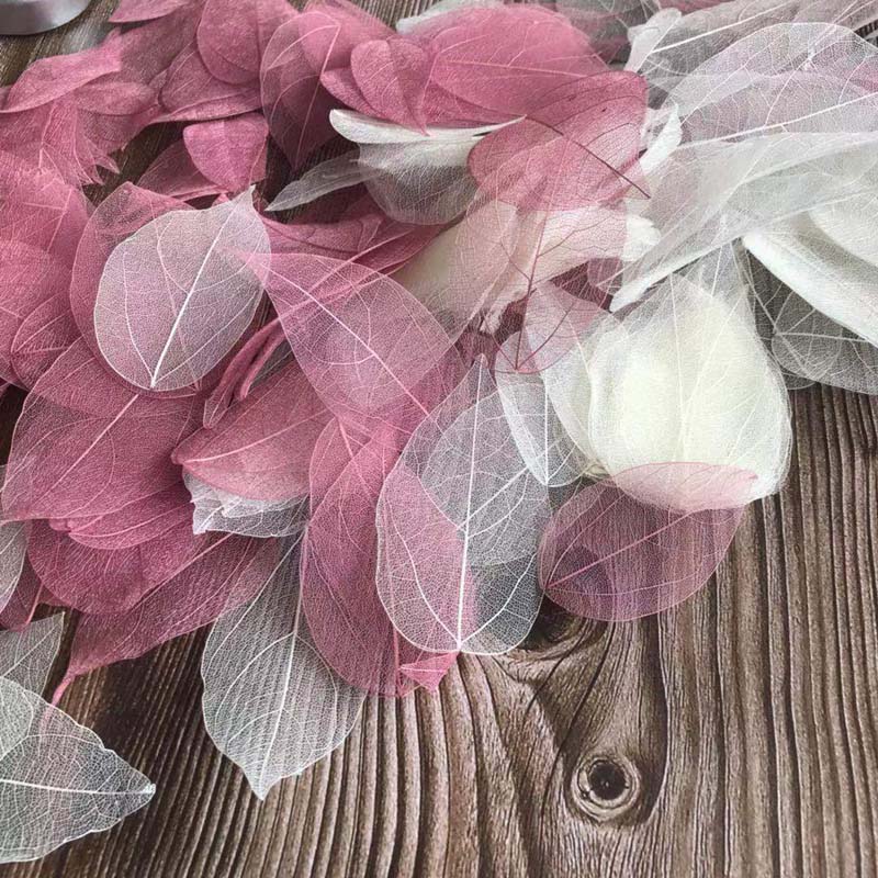 5 ~ 9CM * 2 ~ 3,5 CM, 100 unid - Dried Flower Bouquet reseña y precio