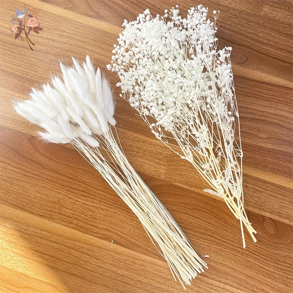 Ramo de boda nupcial de flores - Dried Flower Bouquet reseña y precio