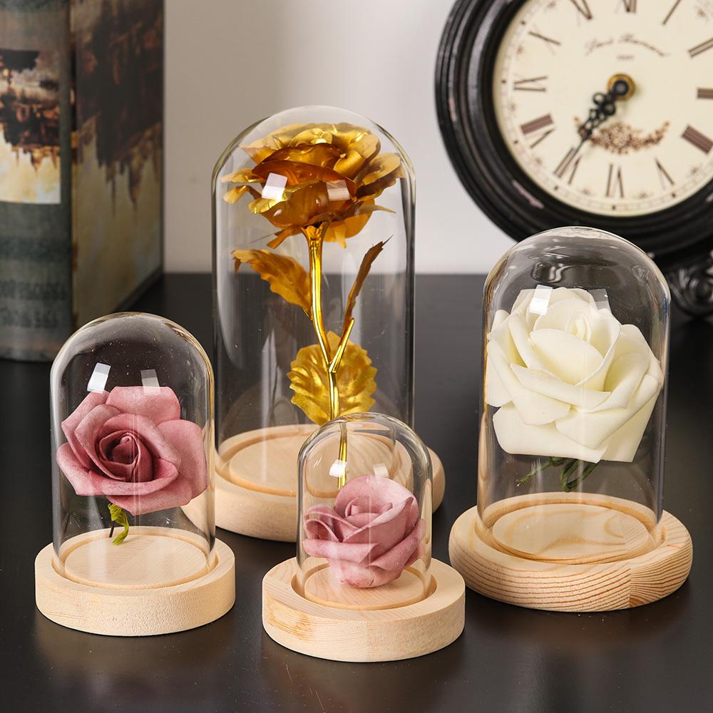 Jarrón de cristal para plantas - Home Decor Glass reseña y precio