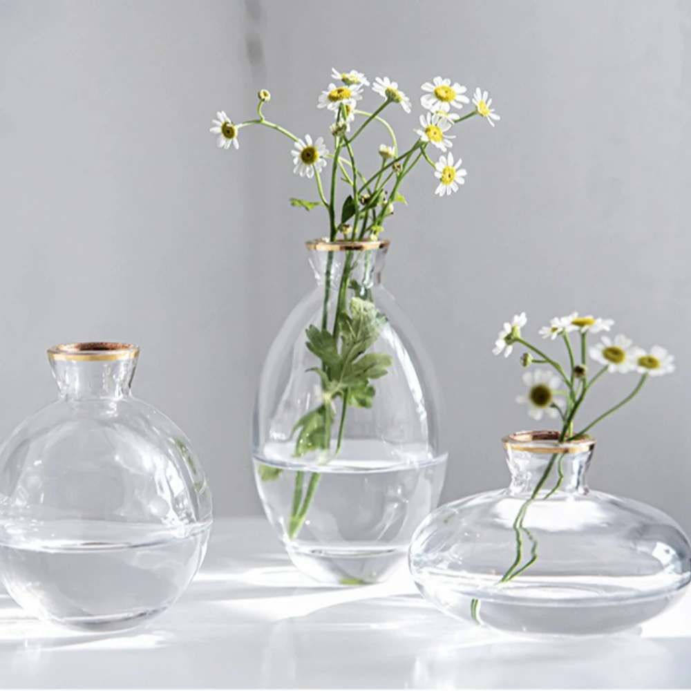 Florero de cristal transparent - Glass Vase Nordic reseña y precio