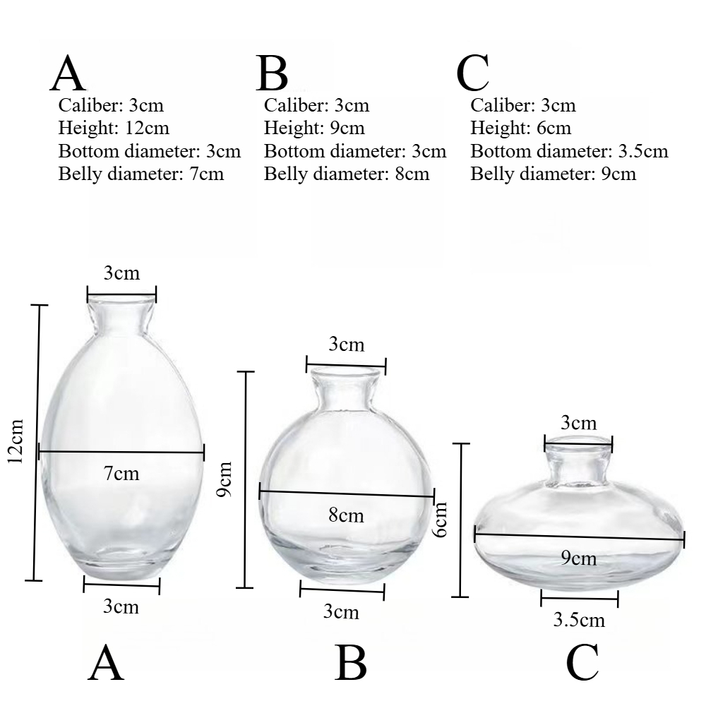 Florero de cristal transparent - Glass Vase Nordic reseña y precio