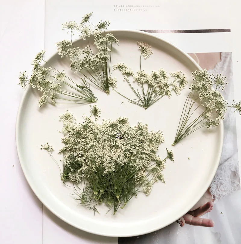 5-7 cm/12 piezas, flores peque - Dried Flower Bouquet reseña y precio