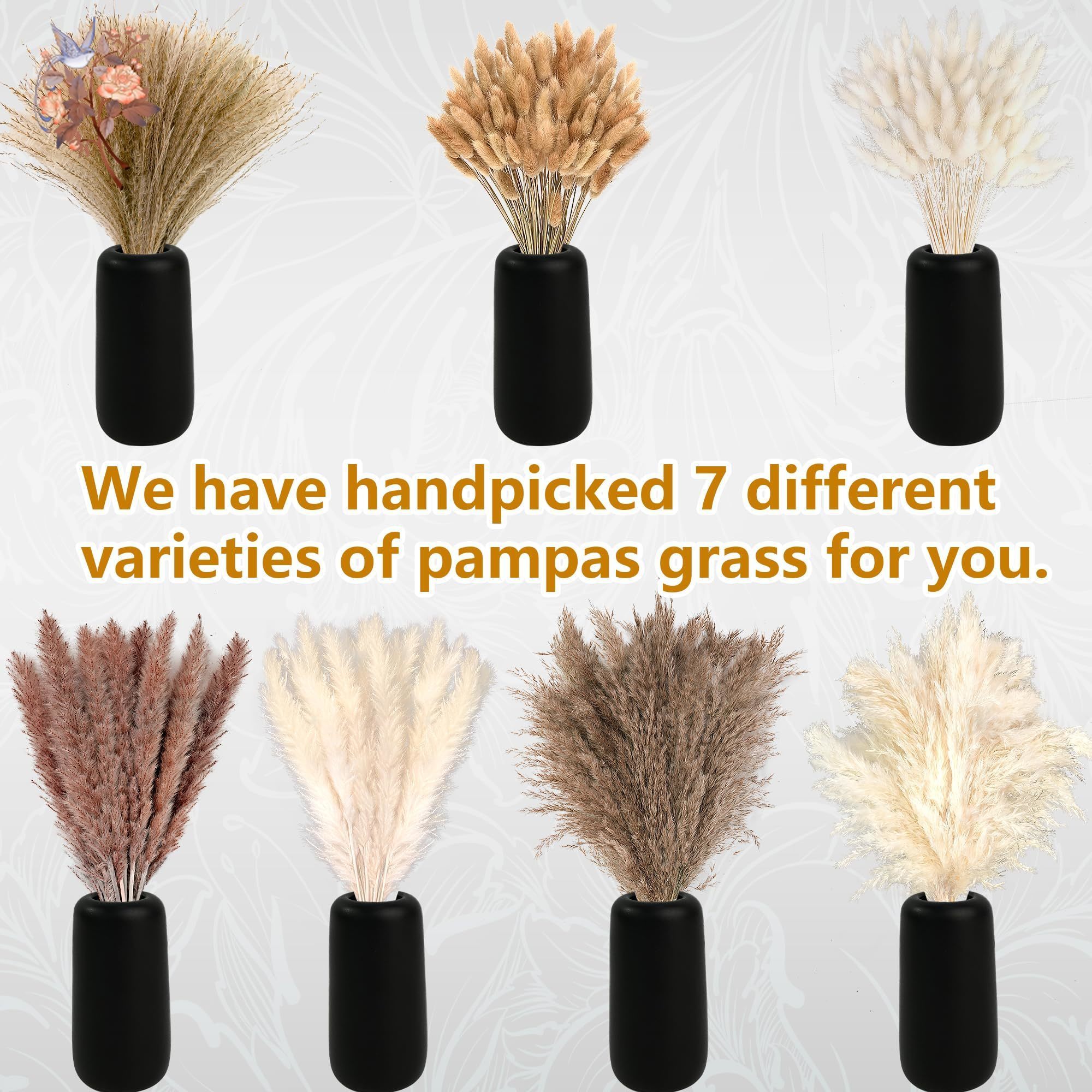 300 Uds. Ramos de flores secas - Dried Flower Bouquet reseña y precio