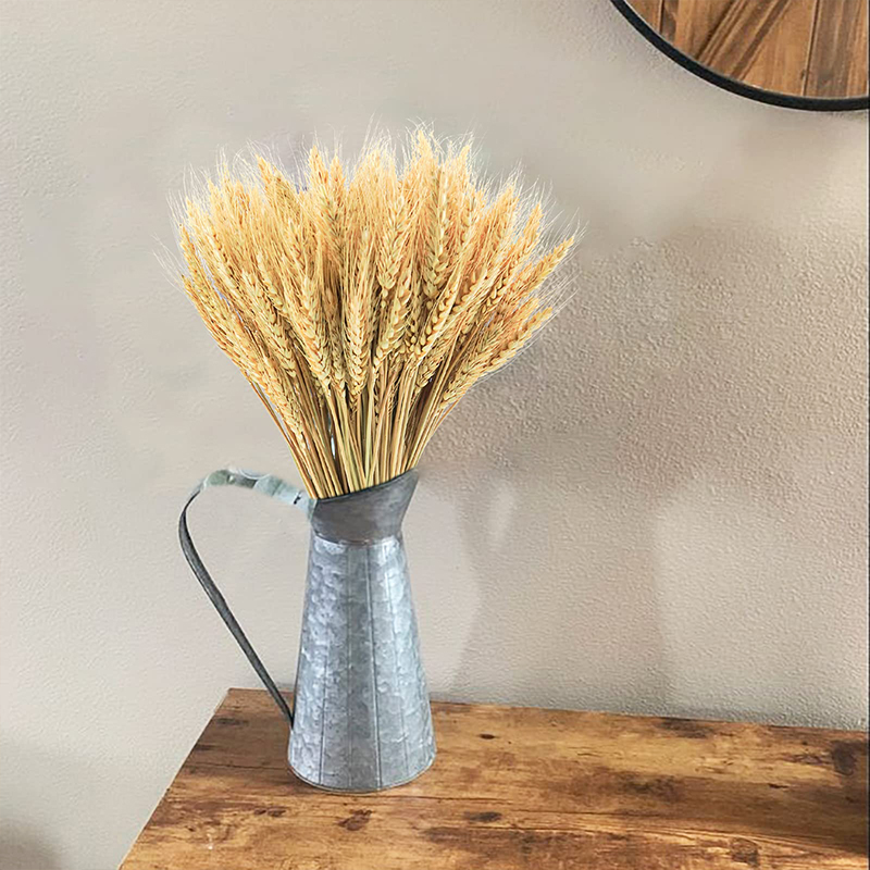 Tallos de trigo secos de 50/10 - Dried Flower Bouquet reseña y precio