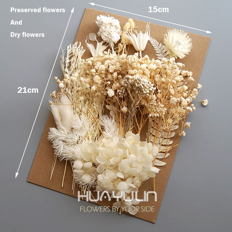 1 paquete de plantas artificia - Dried Flower Bouquet reseña y precio