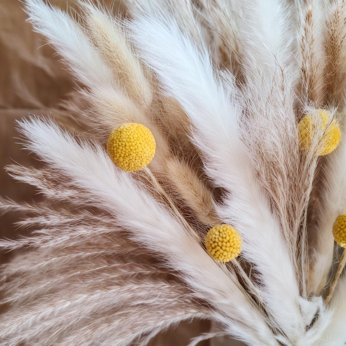 Ramo de Hierba de Pampas Seca, - Dried Flower Bouquet reseña y precio