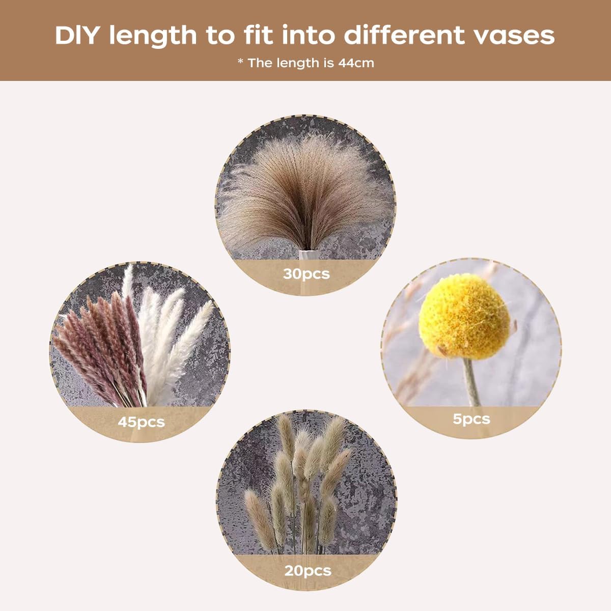 Ramo de Hierba de Pampas Seca, - Dried Flower Bouquet reseña y precio