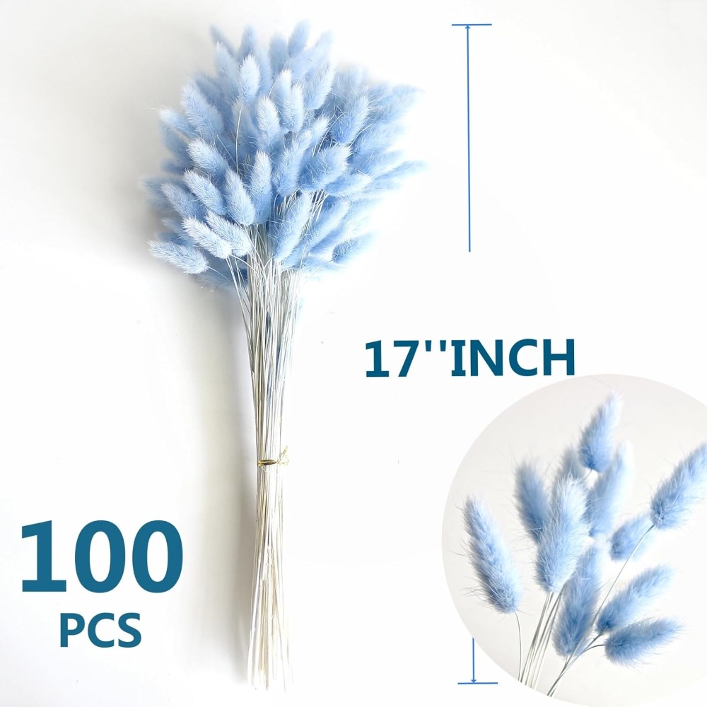 100 Uds. Cola de liebre azul h - Dried Flower Bouquet reseña y precio
