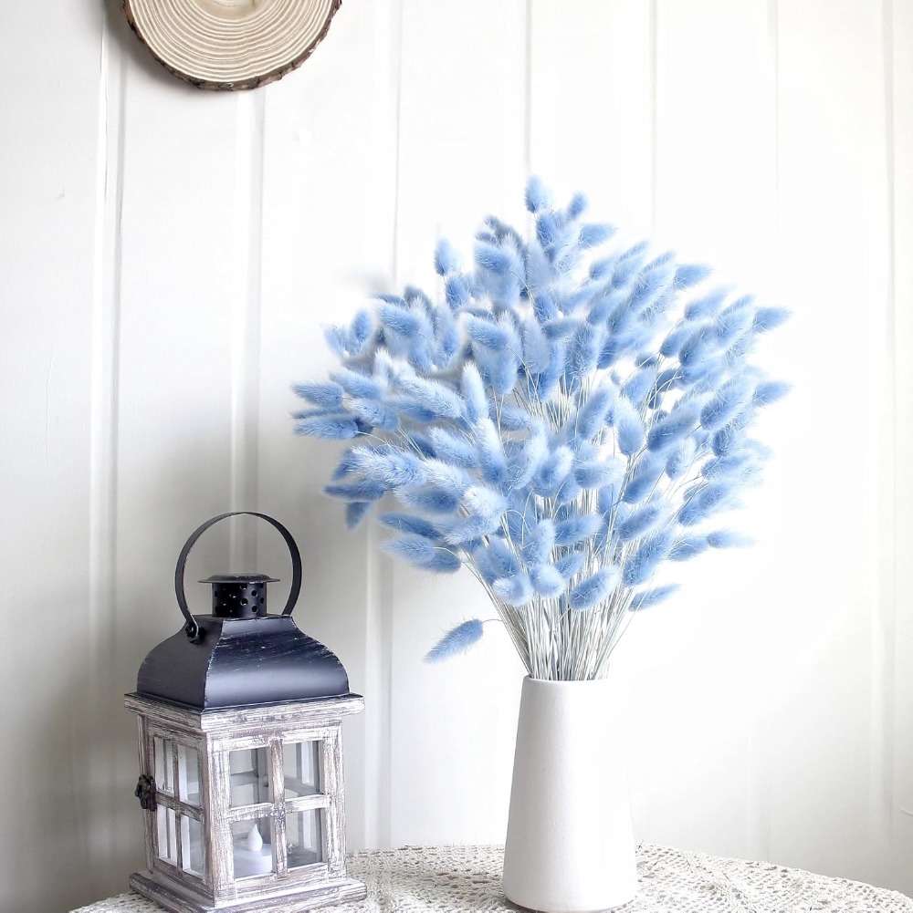 100 Uds. Cola de liebre azul h - Dried Flower Bouquet reseña y precio
