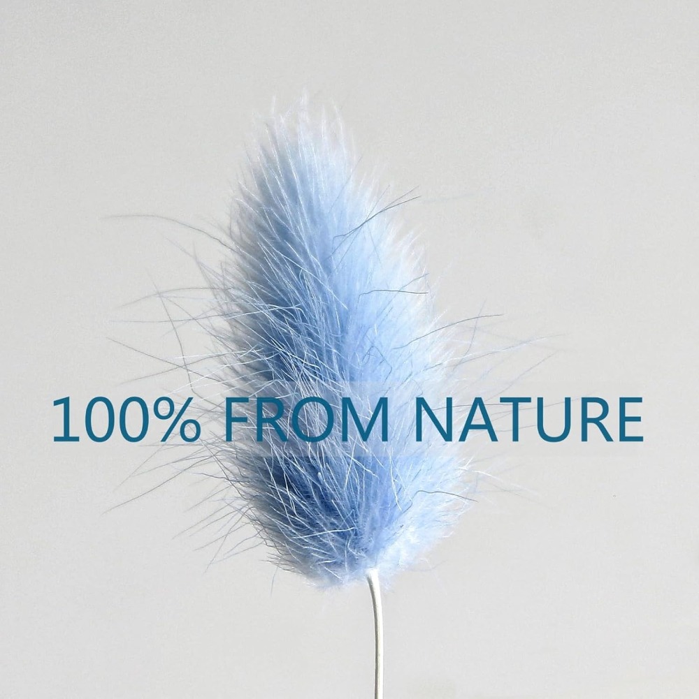 100 Uds. Cola de liebre azul h - Dried Flower Bouquet reseña y precio