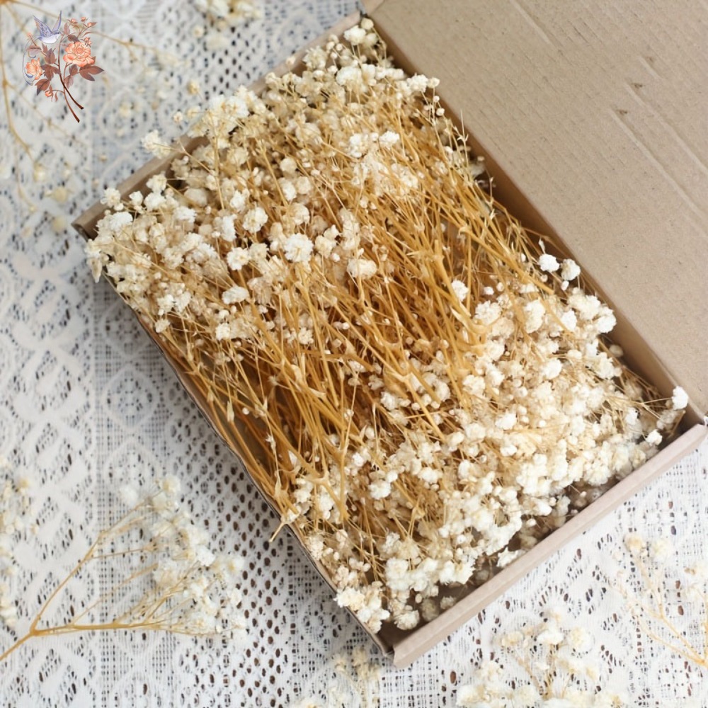 100 Piezas de Flores Secas de  - Dried Flower Bouquet reseña y precio