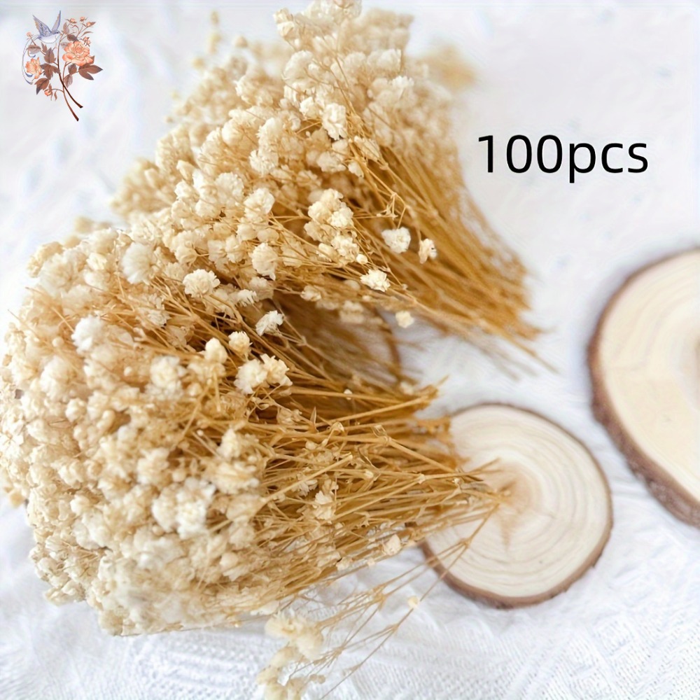 100 Piezas de Flores Secas de  - Dried Flower Bouquet reseña y precio