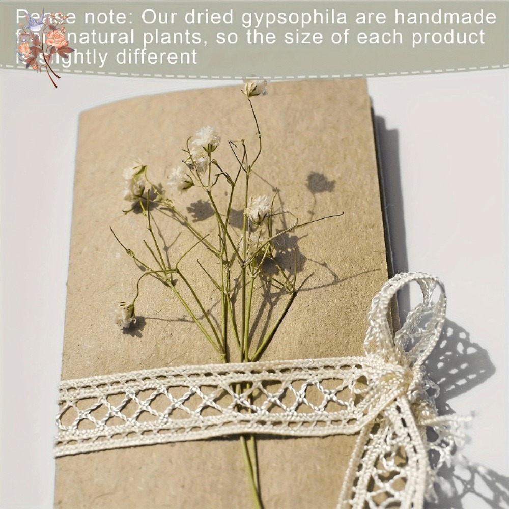 100 Piezas de Flores Secas de  - Dried Flower Bouquet reseña y precio